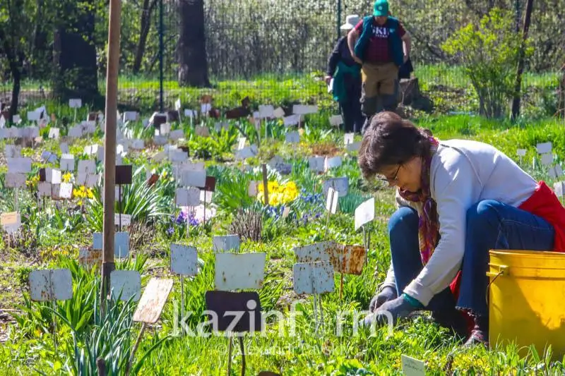 Qazaqstanda 50-60 jastaǵy 325 myń áıeldiń tabysy joq - Eńbek mınıstrligi