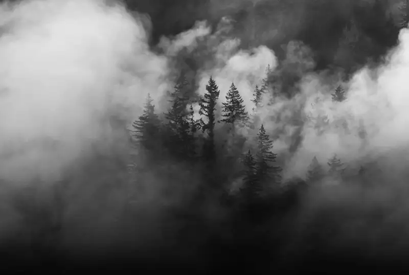 Freedom Holding Corp. и Semey Cement окажут финансовую поддержку семьям погибших при пожаре в области Абай