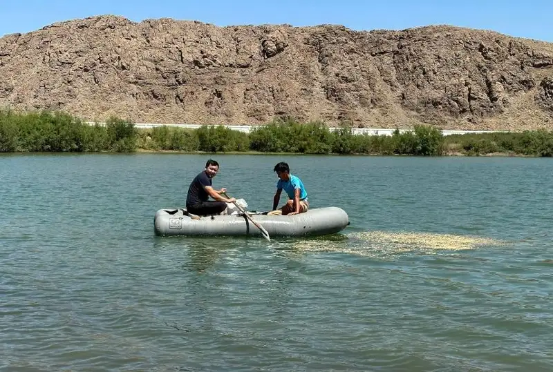 Хозяйства Сузака произвели 180 тонн рыбной продукции