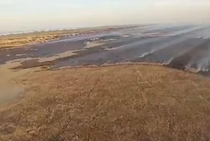 Площадь открытого горения тростников в  Атырауской области снизилась до 28 га - МЧС