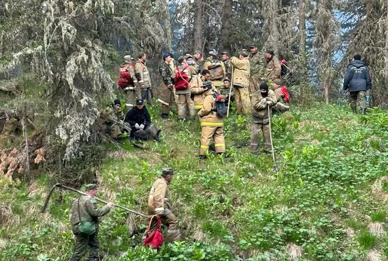 ريددەردە قورىقتان شىققان ورتكە نايزاعاي سەبەپ بولعان