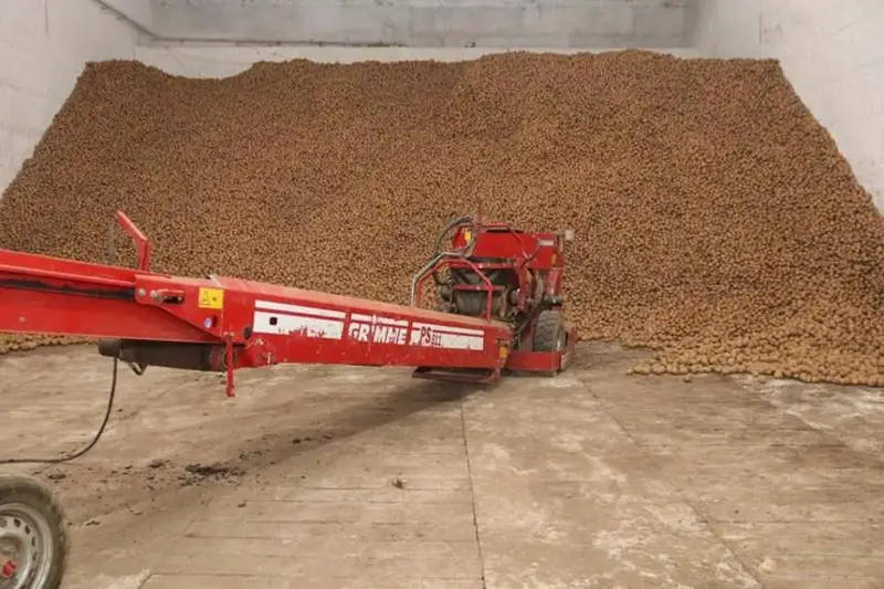 Новые фермы и картофелехранилища появятся в Карагандинской области