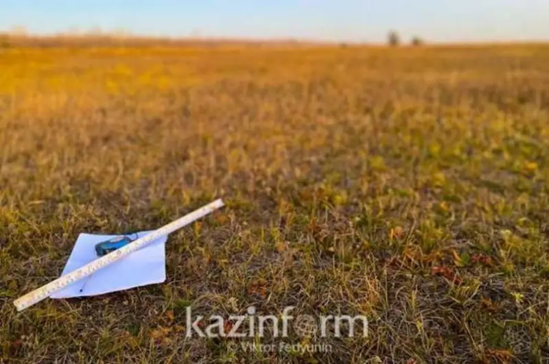 Более 300 тысяч га сельхозземель вернули в госсобственность в СКО