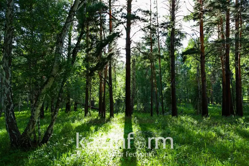 В Актобе ожидаются неблагоприятные метеоусловия