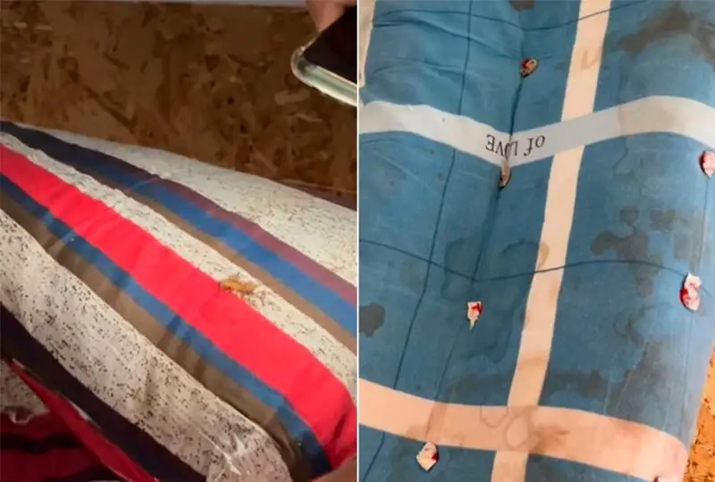 Грязные матрацы и насекомых в инфекционной больнице сняла на видео жительница Павлодара