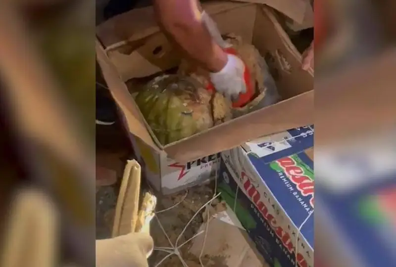 У продавца арбузов изъяли наркотики на 2,5 млн долларов в Павлодаре