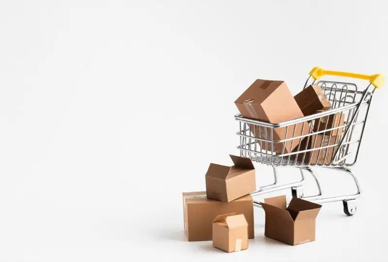 Как Казахстан стал главным звеном в поставках импортных товаров для России