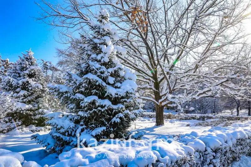 Морозы на юге до -36 градусов прогнозируют синоптики 15 января