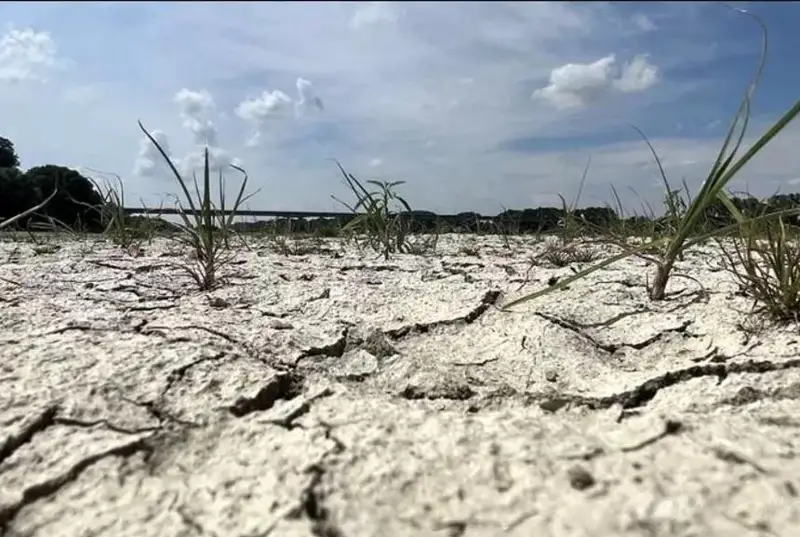 Хитойда қурғоқчиликдан уч миллион гектар қишлоқ хўжалиги ерлари зарар кўрди