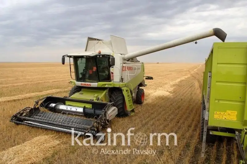 В Жетысу завершается уборка кормовых культур