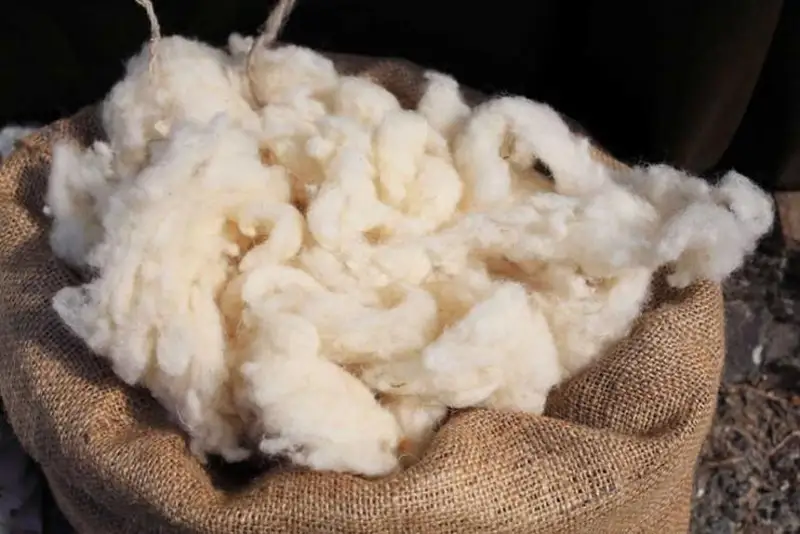 МВК продлила срок действия нулевой ставки экспортной таможенной пошлины на вывоз шерсти из Казахстана