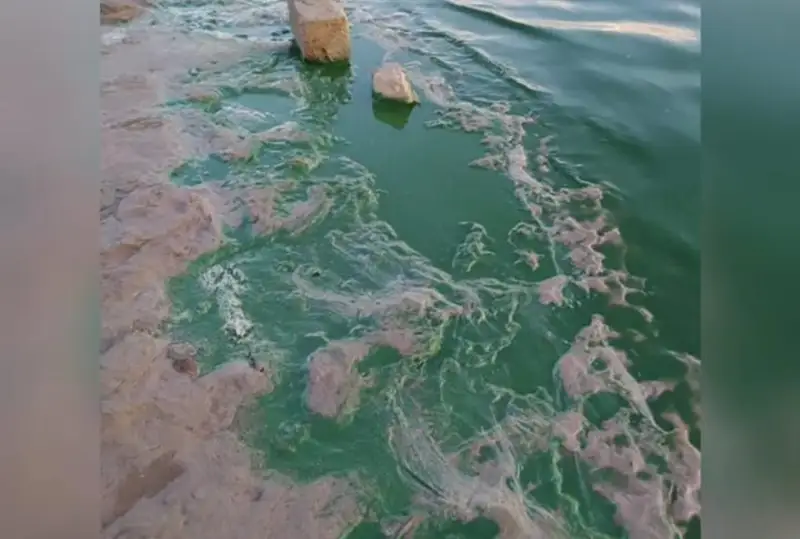 اتىراۋ تۇرعىنى جايىق وزەنىندەگى سۋدىڭ جاسىل تۇسىنە الاڭداۋشىلىق ءبىلدىردى