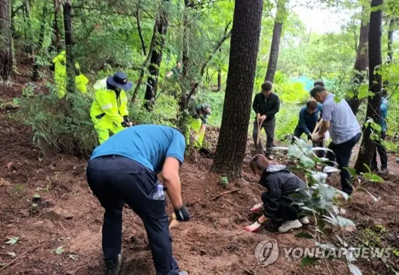 Сотни случаев «младенцев-призраков» расследуют в Южной Корее