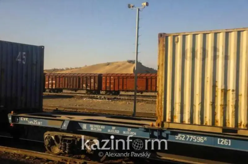 Табун лошадей сбил грузовой поезд в Акмолинской области