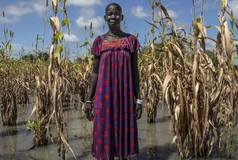 الەمدە اشىققان حالىق سانى ءتورت جىلدا 122 ميلليون ادامعا ارتتى – ب ۇ ۇ