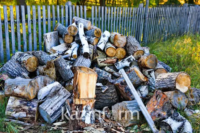 Мораторий на экспорт древесины и лесоматериалов повторно введут в Кыргызстане