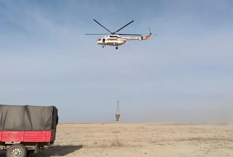 Тушить пожар на побережье Каспия продолжают в Атырауской области