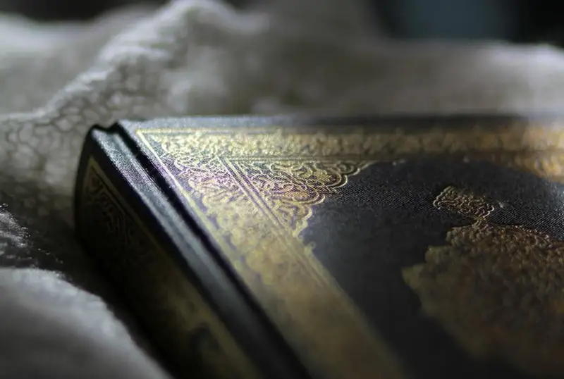 Коран сожгли в Дании