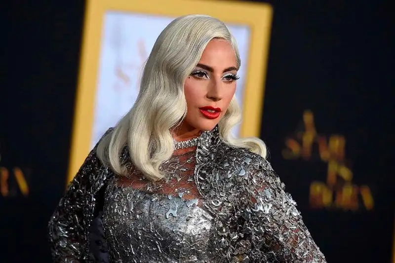 Певица Леди Гага получила должность в Белом доме