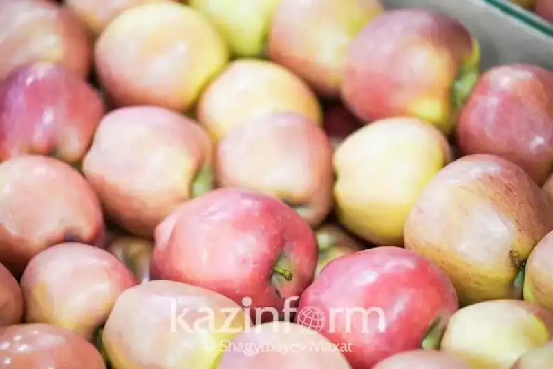 2024 йилда Қозоғистон ички бозорни ўз олмалари билан тўлиқ таъминлайди