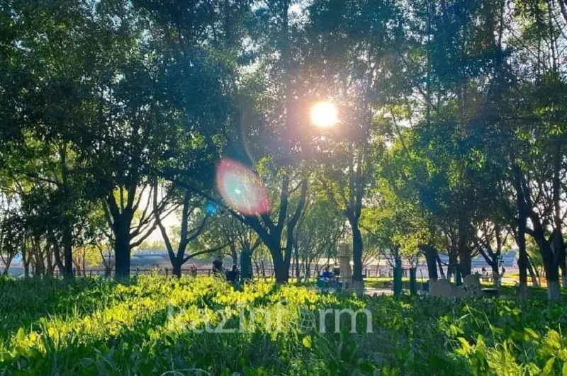 ەلىمىزدە 43 گرادۋسقا دەيىن ىستىق بولادى