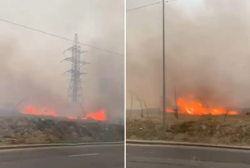 Сухостой горел в Алматы