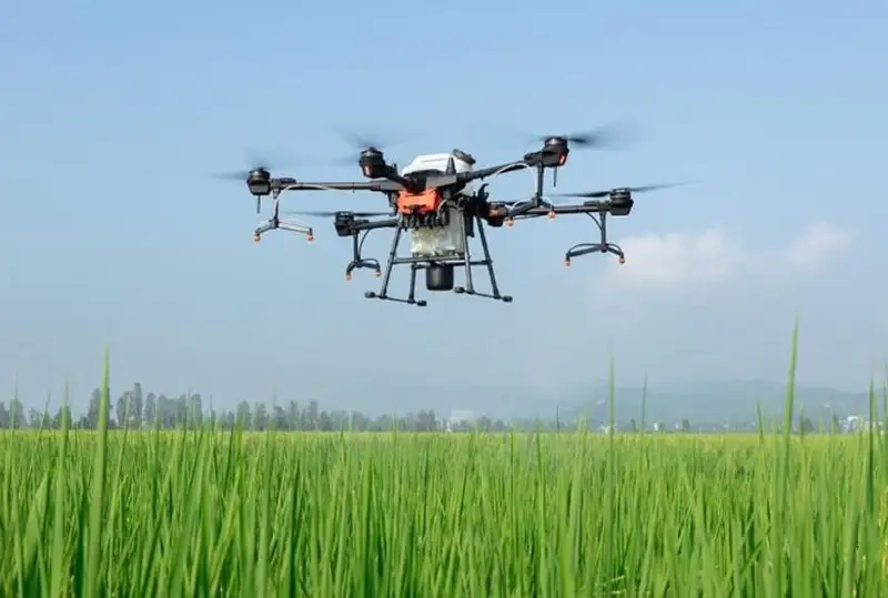 Удобрять посевы с помощью дронов начали в Жамбылской области