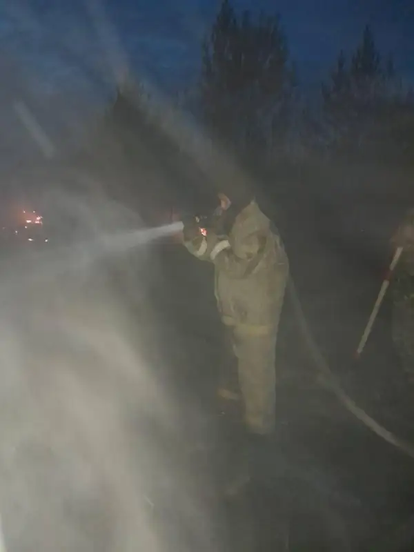 ەرتىس ورمانى رەزەرۆاتىنداعى ورمان ءورتىن سوندىرۋگە ءۇش وڭىردەن قوسىمشا كۇش تارتىلدى