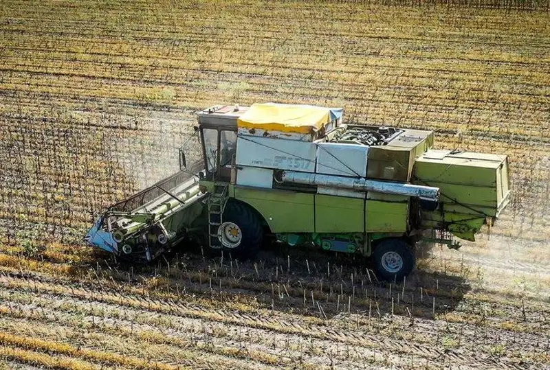 Цены на продовольствие снизились, но 45 стран все еще нуждаются в помощи