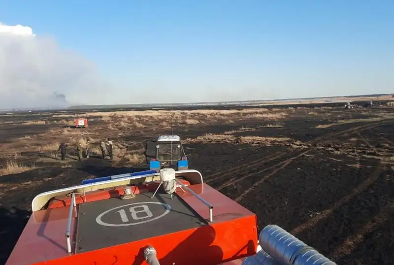 Лесной пожар произошел в резервате «Ертис орманы» в Павлодарской области