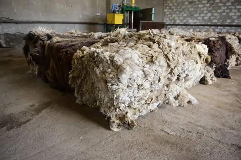 اقتوبەدە قوي جۇنىنەن قۇرىلىس ماتەريالى جاسالادى