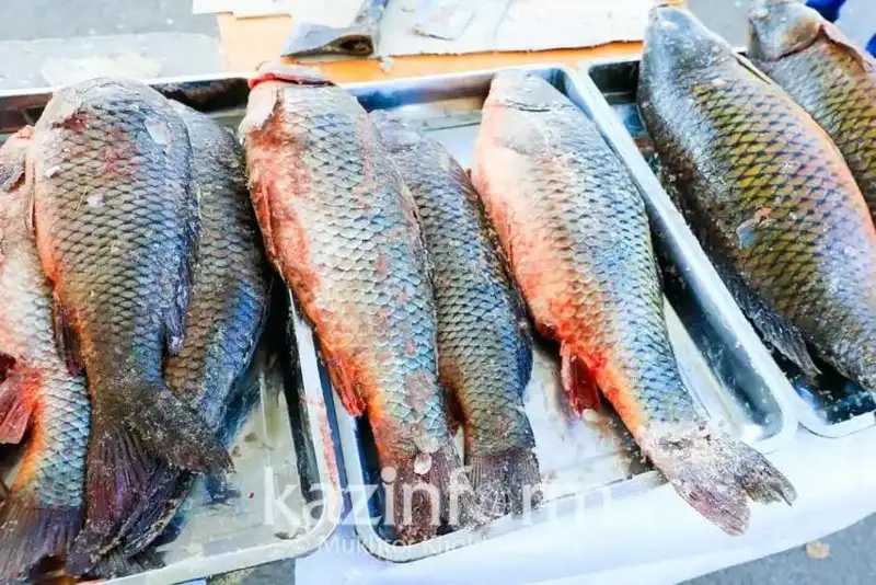 哈生态部迎来职能调整  涉及进出口配额