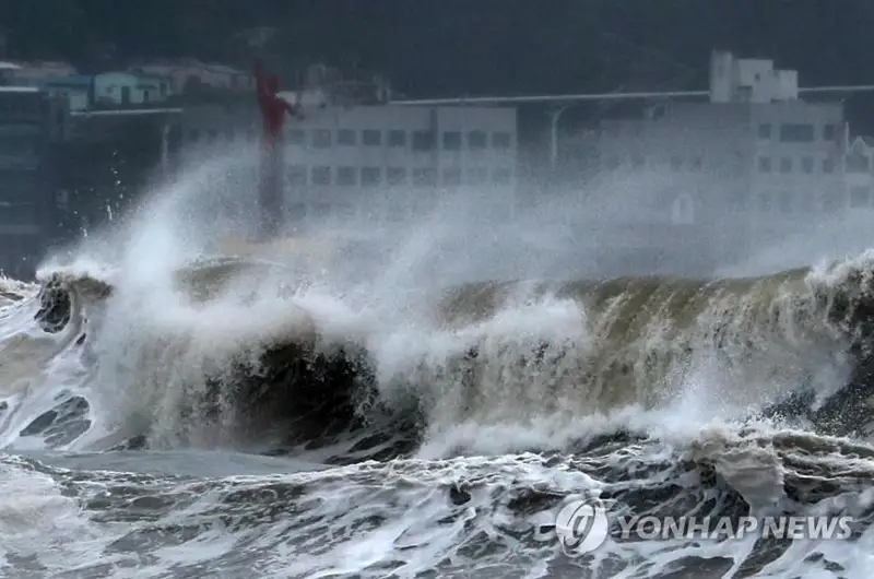 Хитойга кучли «Талим» тўфони кириб келмоқда, 230 минг киши эвакуация қилинди