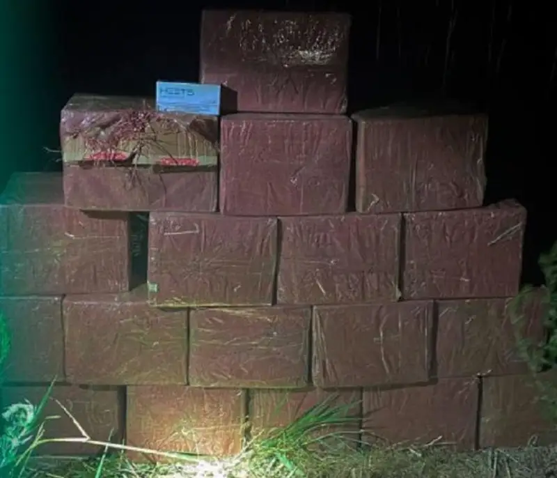 Ввоз табачных стиков на 6 млн тенге пресекли на казахстанско-кыргызском участке госграницы