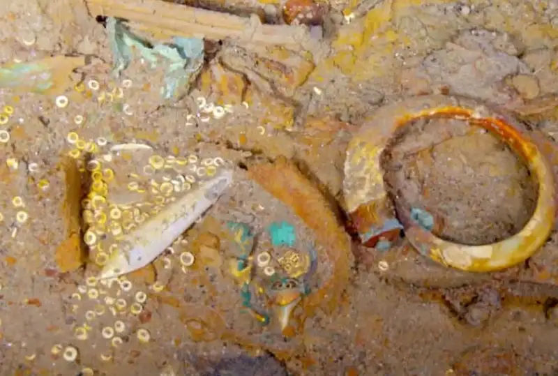 Титаникда топилган тарихдан олдинги акула тишли маржон