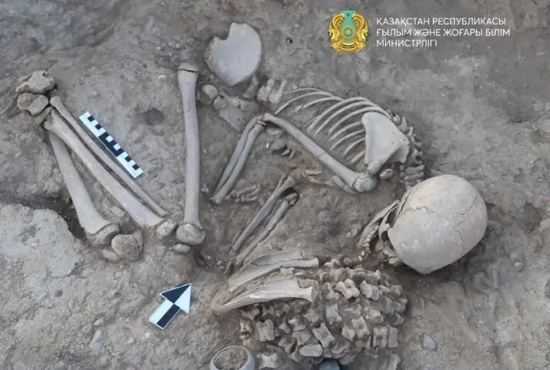 Қозоғистондаги қадимий қабристондан аёл жасади, бронза қурбақа ва 180 та ошиқ топилди