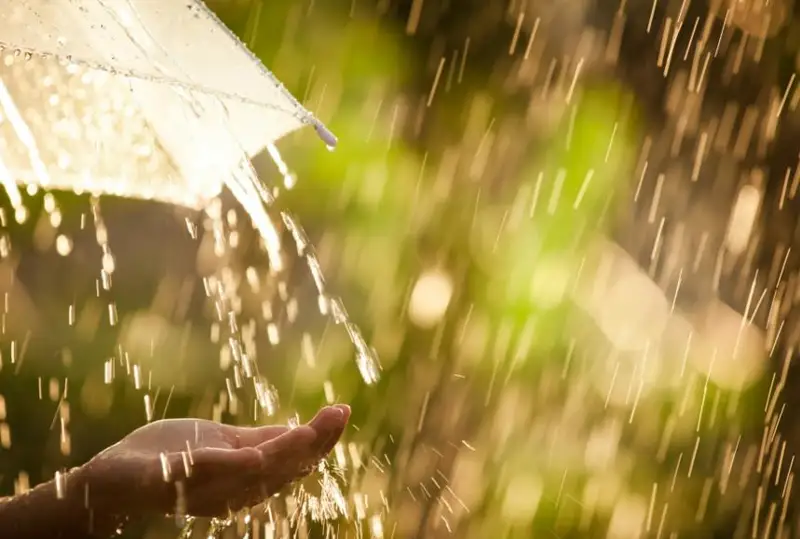 Дожди с грозами и сильная жара ожидаются 13 июля в Казахстане