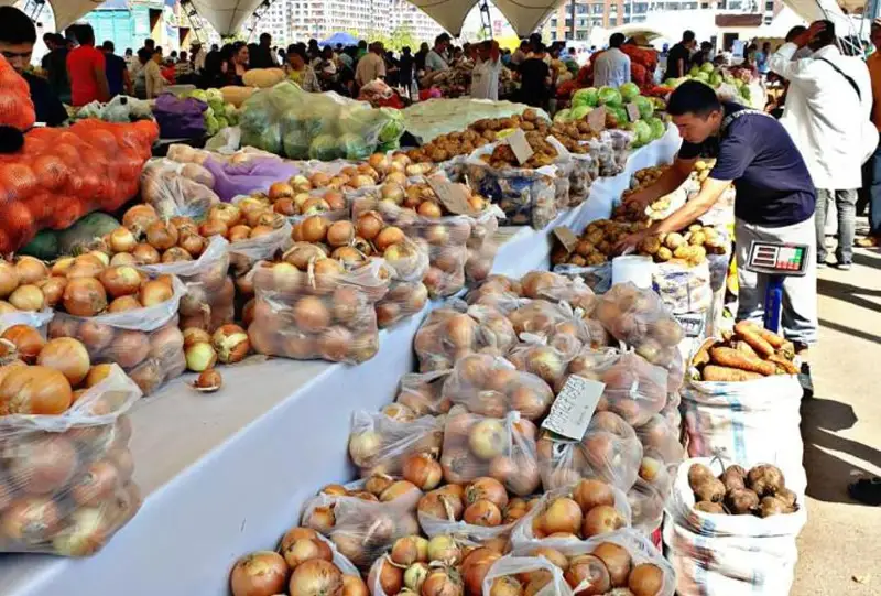 الماتىدا الماتى وبلىسىنىڭ اۋىلشارۋاشىلىق جارمەڭكەسى وتەدى