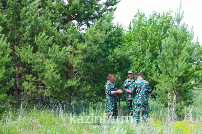 Қозоғистонда 600 мингга яқин бухгалтер, ҳуқуқшунос, ўрмончи ва кутубхоначи маоши 20 фоиз ошади
