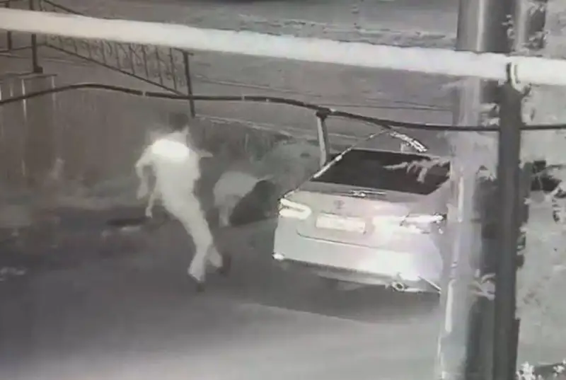 Стрелявшего в прохожего мужчину задержали в Хромтау