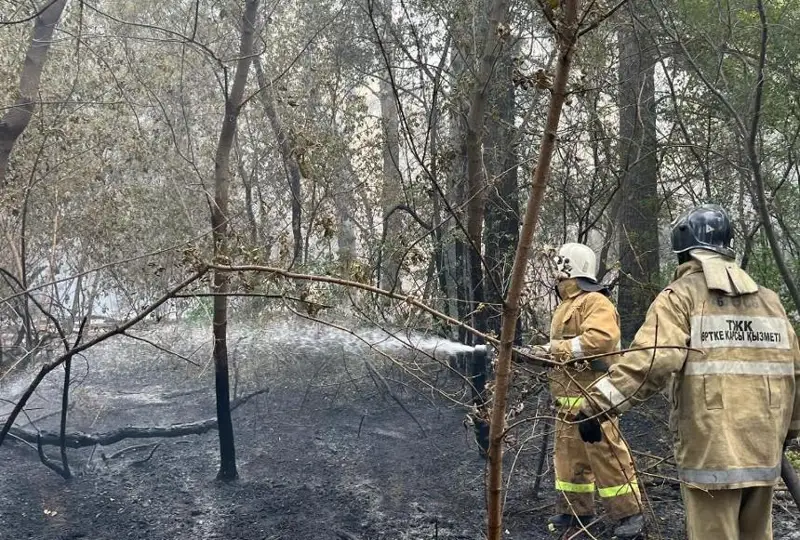 Тушение пожара в области Абай осложняется погодными условиями