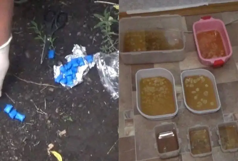 Qaraǵandylyq polıtseıler sıntetıkalyq esirtki daıarlaıtyn zerthanany anyqtady