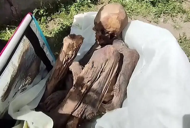 Мужчину с древней мумией в сумке-холодильнике задержали в Перу