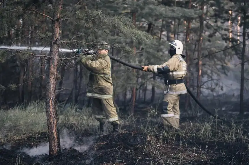 Олар тоқылған инені порнографияға жабыстырады