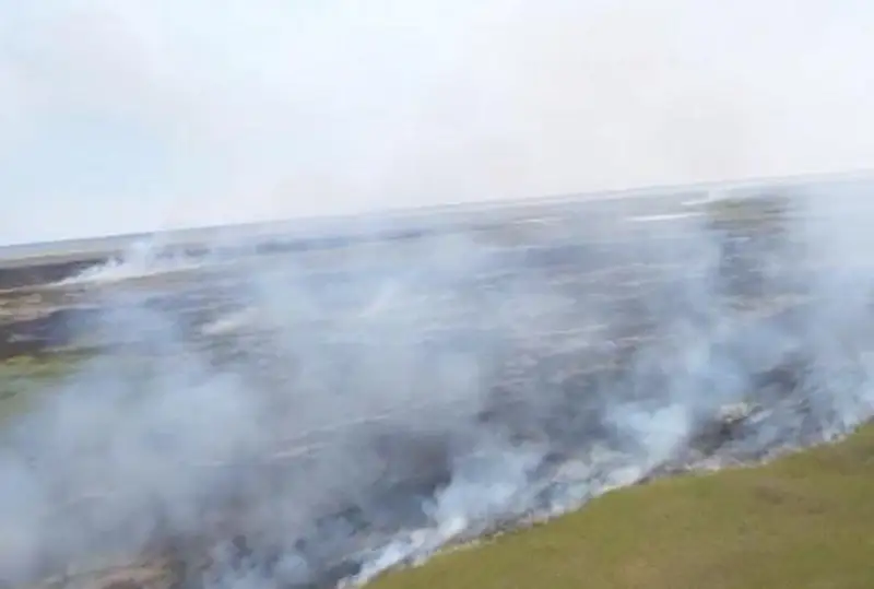 اباي وبلىسىنداعى ءورت: قامىستى شارپىعان جالىنمەن كۇرەس جالعاسۋدا