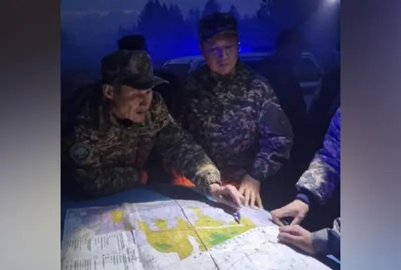 Площадь лесного пожара в Павлодарской области достигла 800 га