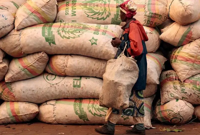 $800 млрд могут потерять развивающиеся страны из-за внешнего долга и инфляции