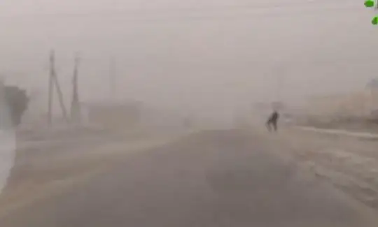 وزبەكستان اۋماعىن شاڭدى داۋىل باستى - ۆيدەو