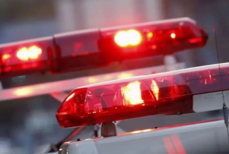 14-летнюю девочку арестовали за убийство матери в Японии