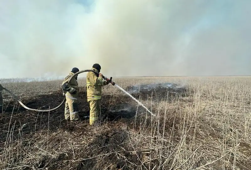 В Атырауской области потушили пожар на побережье Каспийского моря